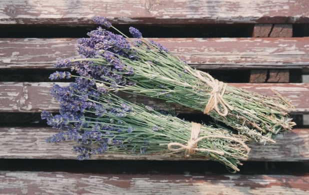 When the market pivots, so can you – Under the Stars Lavender Farm